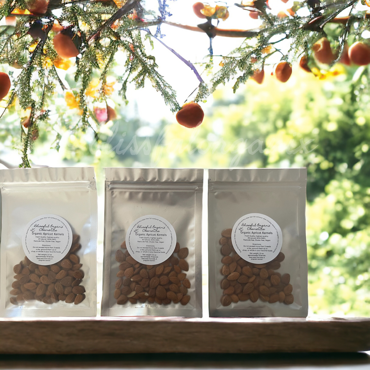 Organic Raw Bitter Apricot Kernels 1 oz